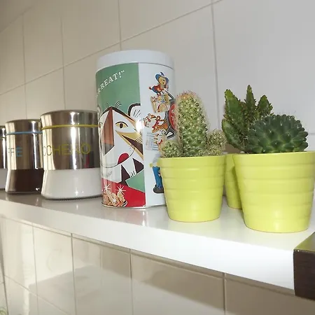 Apartamento Kokoroma Cipro Al Vaticano